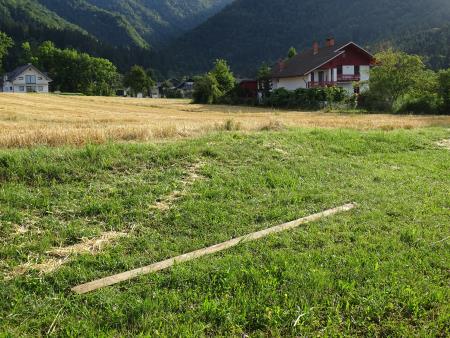 Slavko Prezelj: Deska, ki jo je odneslo s kozolca 150 metrov stran